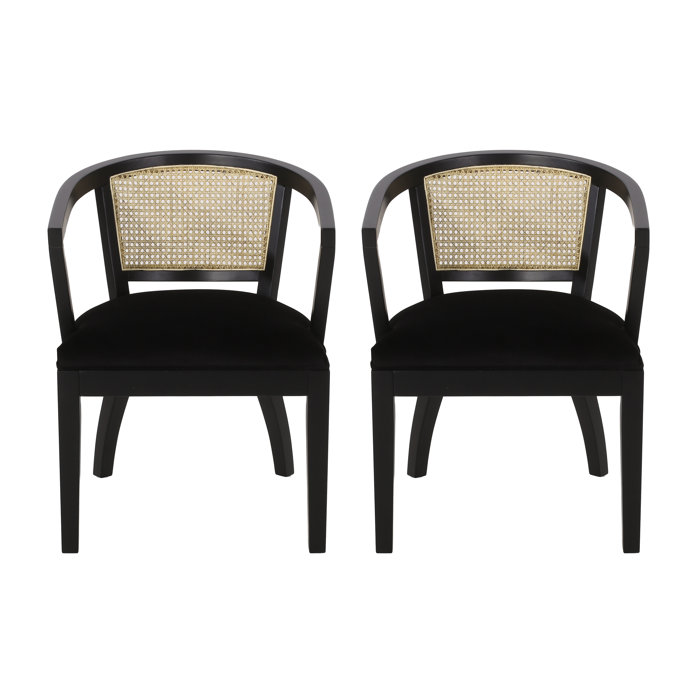 Ashia Velvet, Rubberwood, and Cane Dining Chairs & Reviews Birch Lane
